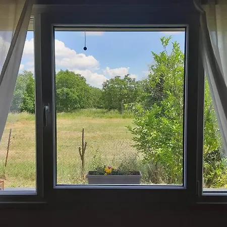 Apartment Inside The Trees